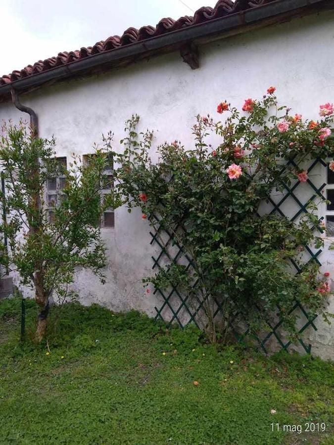 Bed and Breakfast Beb Infamiglia Cascinette Exteriér fotografie